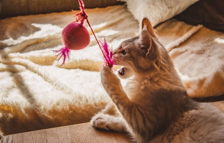 Best Products to Stop Your Cat from Yowling at Night