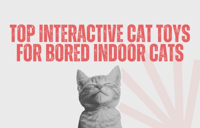 Top interactive cat toys for bored indoor cats