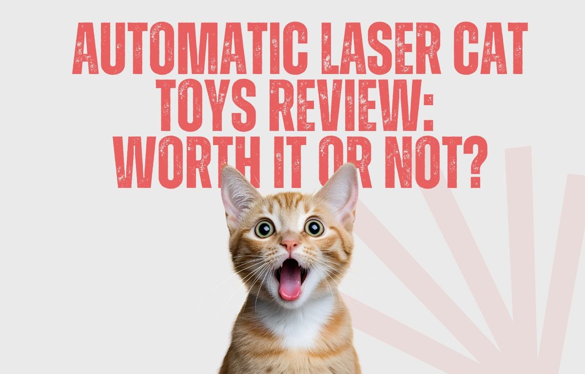 Automatic Laser Cat Toys Review